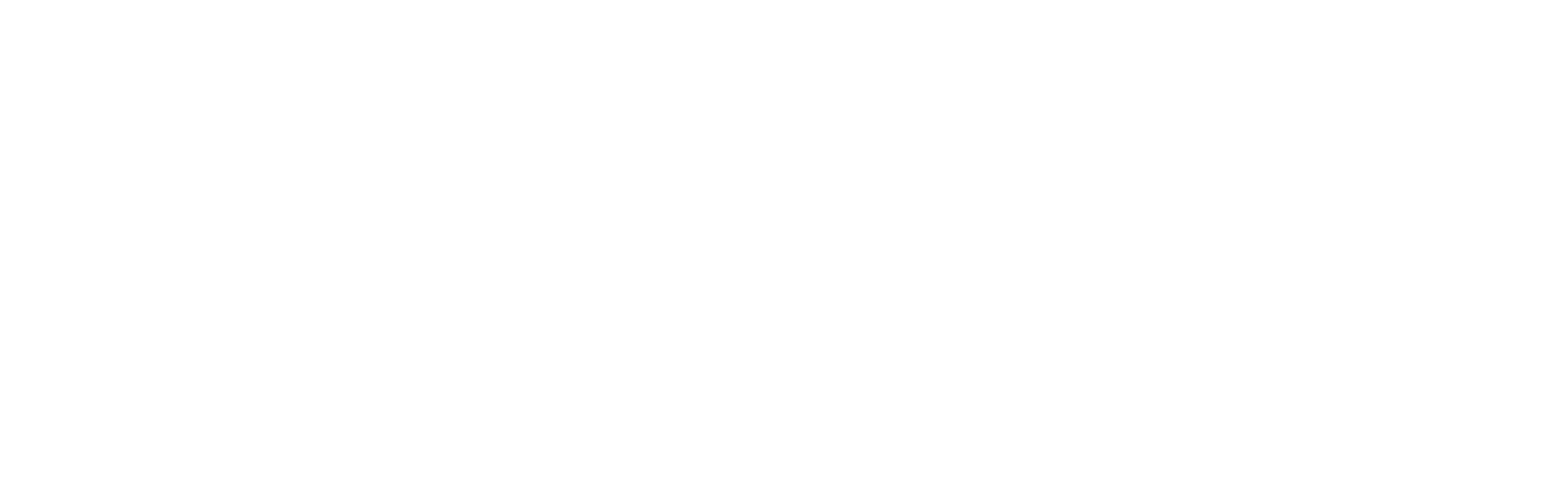 Fokus Dgital Services