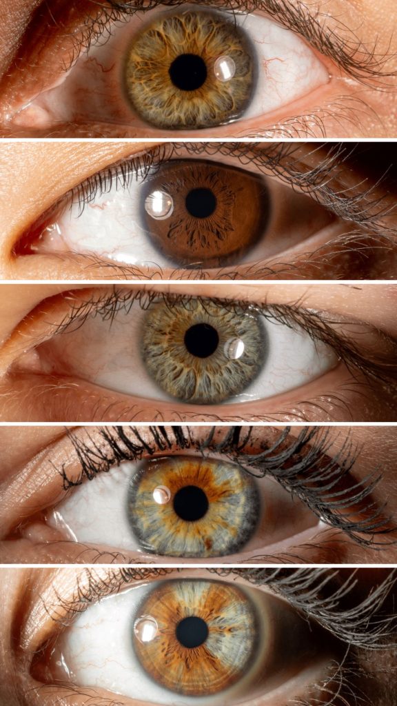 close up of a person's eyes