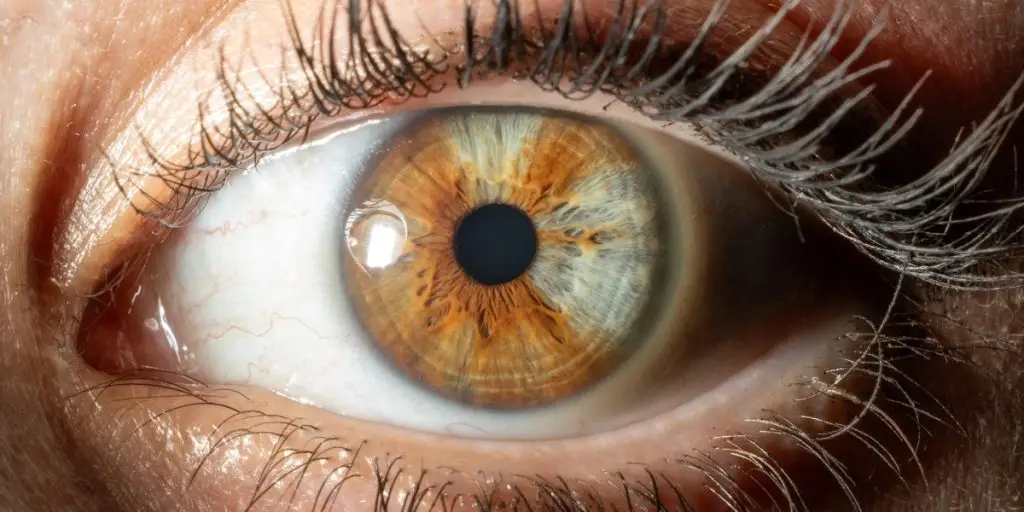 a close up of an eye