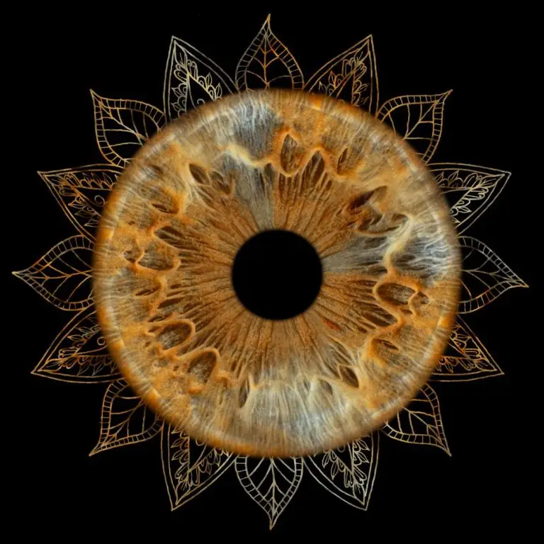 a brown eyeball with a black circle