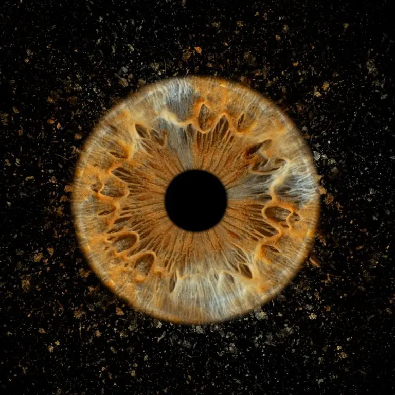 Перфектния подарък за него и нея, снимка на ириса