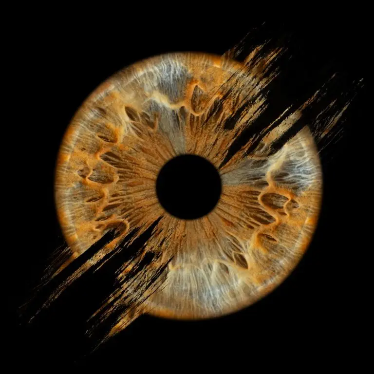 Подаръчен ваучер изненада за снимка на ириса