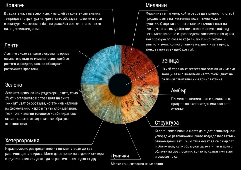 информация за структурата на ириса